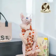 猫用旗袍デザインのコットンワンピース【可愛い赤・フリンジ付き・暖かい】（セットアップ対応）
