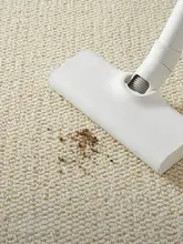 カーペット リビング/寝室/撮影スタジオ ソファ/ベッドサイド/飘窓/猫抓板 用途 麻素材 2024年新作