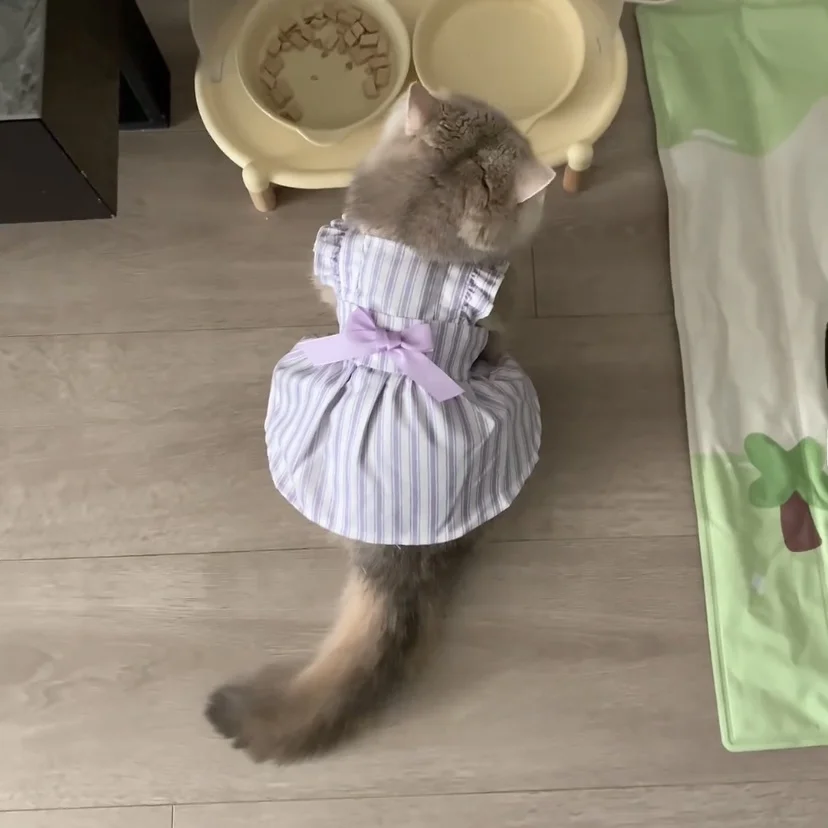 猫用 夏用 プリンセススタイル 薄手ドレス【毛が抜けにくい・ブルー・ホワイト・金色グラデーション・紫】