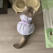 猫用 夏用 プリンセススタイル 薄手ドレス【毛が抜けにくい・ブルー・ホワイト・金色グラデーション・紫】
