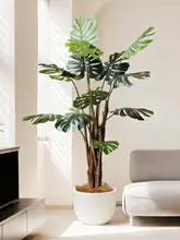 観葉植物 モンステラ 室内 大型 フロアプラント 装飾