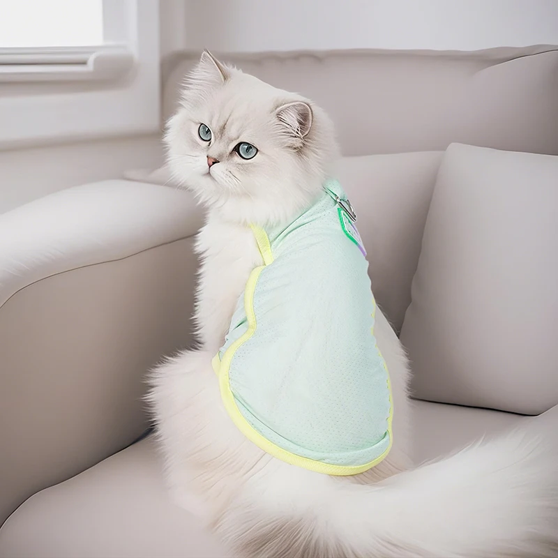 夏用ペットウェア：通気性と涼感を重視した子猫用マスクタイプの防暑グッズ