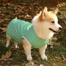 犬用手術後服【薄手・防舔・四脚式】（セットアップ対応）