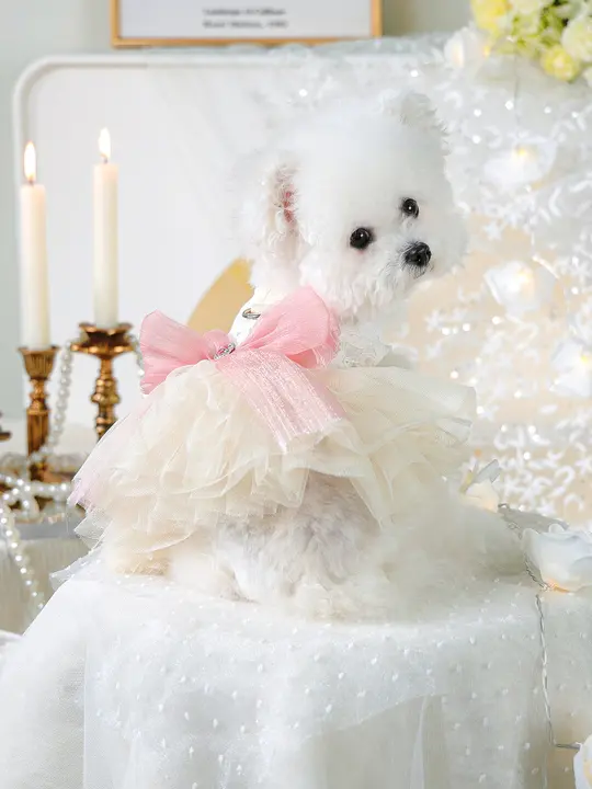 ピンクの夏用犬服 【小型犬・トイプードルやマルチーズ対応・かわいいドレスデザイン】