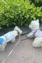 FIDA ダブルリード用犬用リード【多機能・2頭引き対応】
