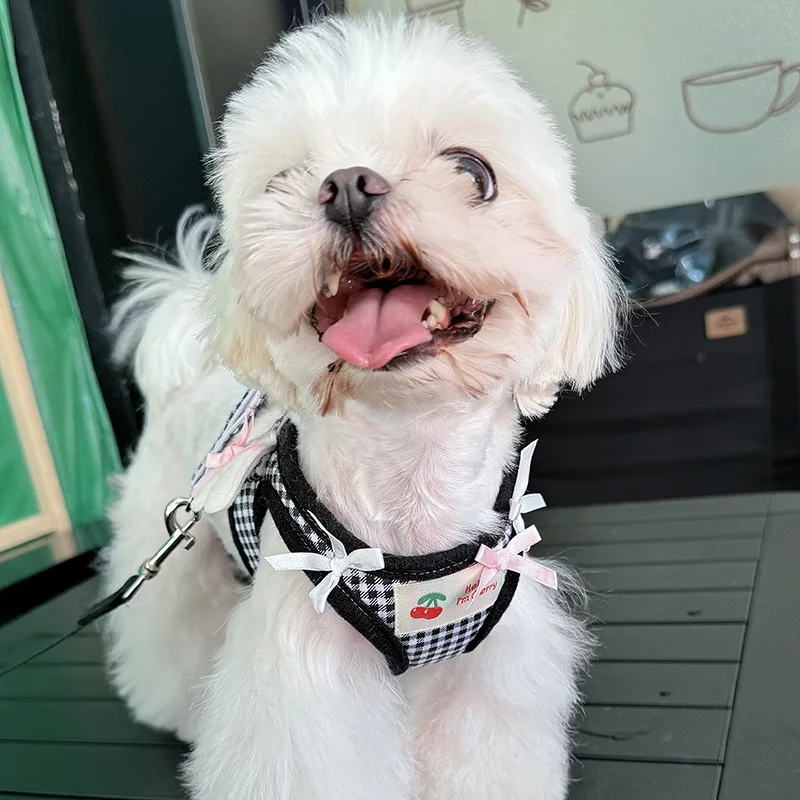 可愛いデザイン！ペット用ハーネス＆リード：胸部固定で脱落防止のキャンプ犬用品