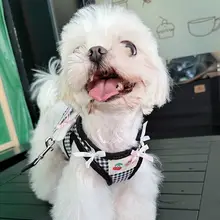 可愛いデザイン！ペット用ハーネス＆リード【胸部固定・脱落防止・猫犬兼用・羽根付き】