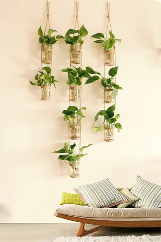 TAO | 水耕栽培用壁掛けガラス花瓶セット【観葉植物用・小型吊り瓶