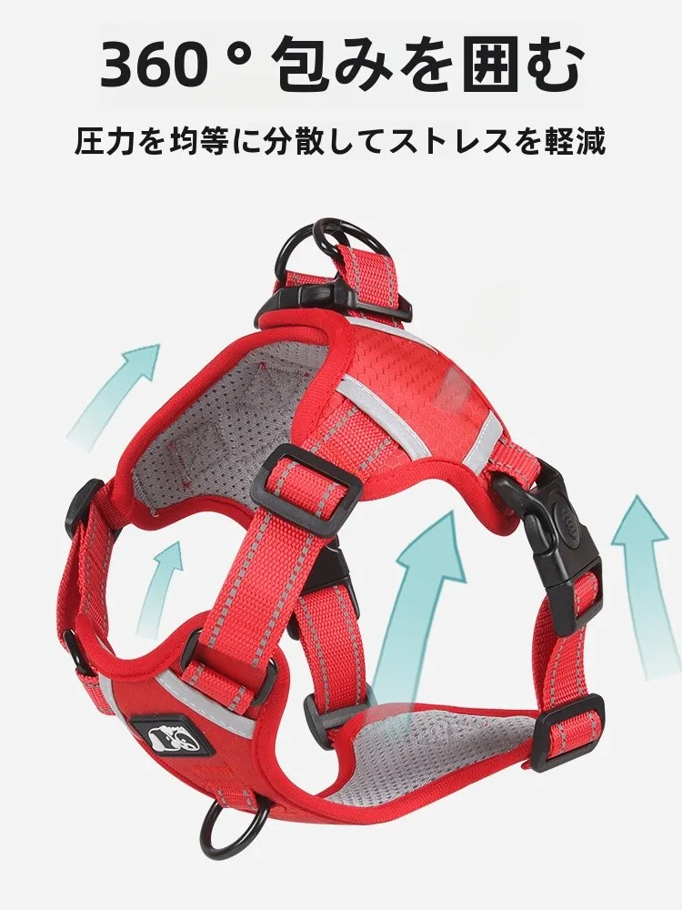 犬のお散歩グッズをコスパ良く揃える方法 - 中大型犬用ハーネス式リードのコストパフォーマンス