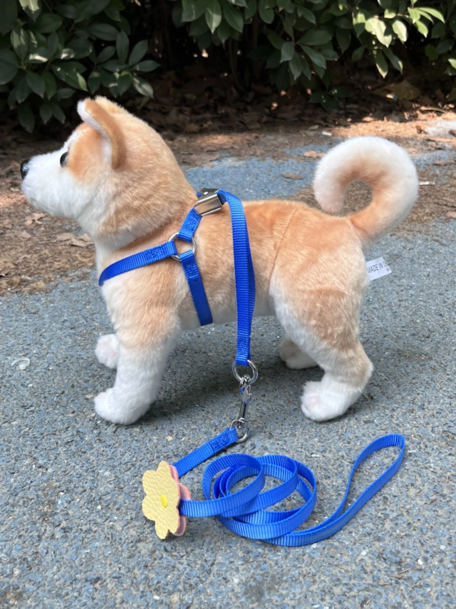 犬のお散歩グッズをコスパ良く揃える方法｜完全ガイドと選び方の秘密