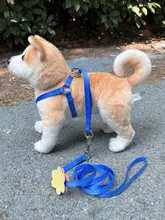 可愛いデザインの小型犬用ハーネス【散歩用・リード付き】