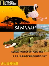 リアルなアニマルフィギュア【アフリカ象・ワニ・フラミンゴ・サイ・カバ】（セットアップ対応）