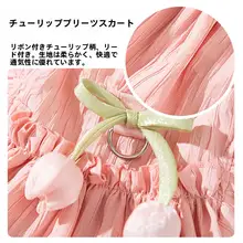 hipidog 小型犬用春夏用ペットドレス【薄手・プリンセススタイル・テディベア風】（セットアップ対応）