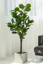 インテリアにも最適な大きな観葉植物【フィ・北欧風・室内装飾用】