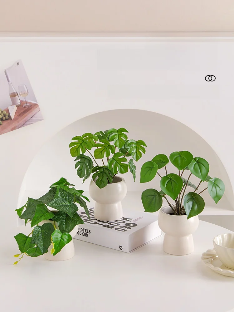 韓国インテリアを再現｜カフェ風部屋の作り方　リアル質感の植物選び完全ガイド