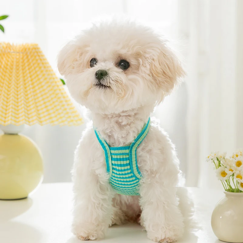 hipidog 小型犬用夏用服：笑顔プリントとカラフルストライプで快適な室内生活を実現