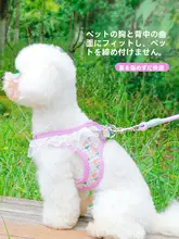 春夏用快適な通気性スリムな犬用リード【可愛い胸リード・小型犬用】