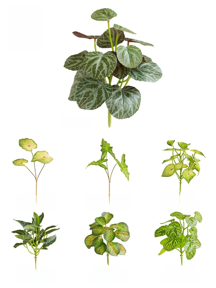 ハエトリグサの花を庭に植える前に、この「フェイクグリーン」が教えてくれたこと