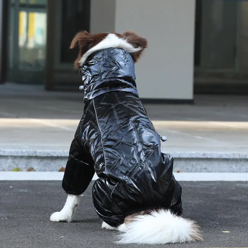 犬の散歩に着せるべきジャケットは？秋冬の寒さを乗り越える、実際の使い心地を語る