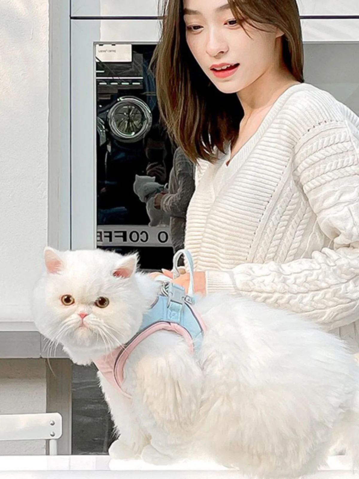 猫飼いが買ってよかったもの・悪かったもの正直に言う：可愛い猫用ハーネスの機能とサイズ選定