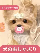 ヨークシャーテリア用おしゃぶりペットおもちゃ【小型犬・生後数ヶ月・歯固め・生活用品】