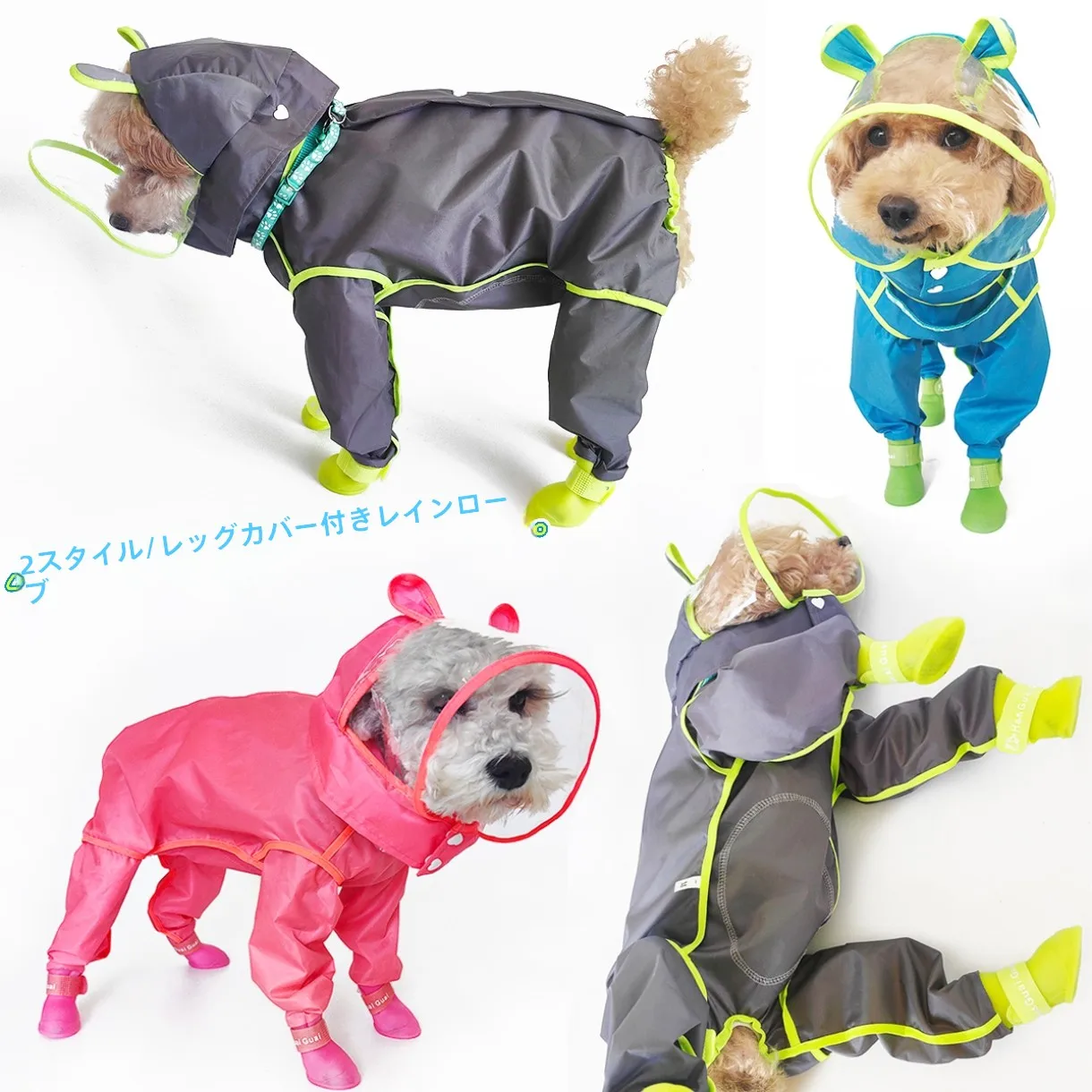 犬のお散歩グッズをコス  パ良く揃える方法　実用性とデザインのバランスを徹底解説
