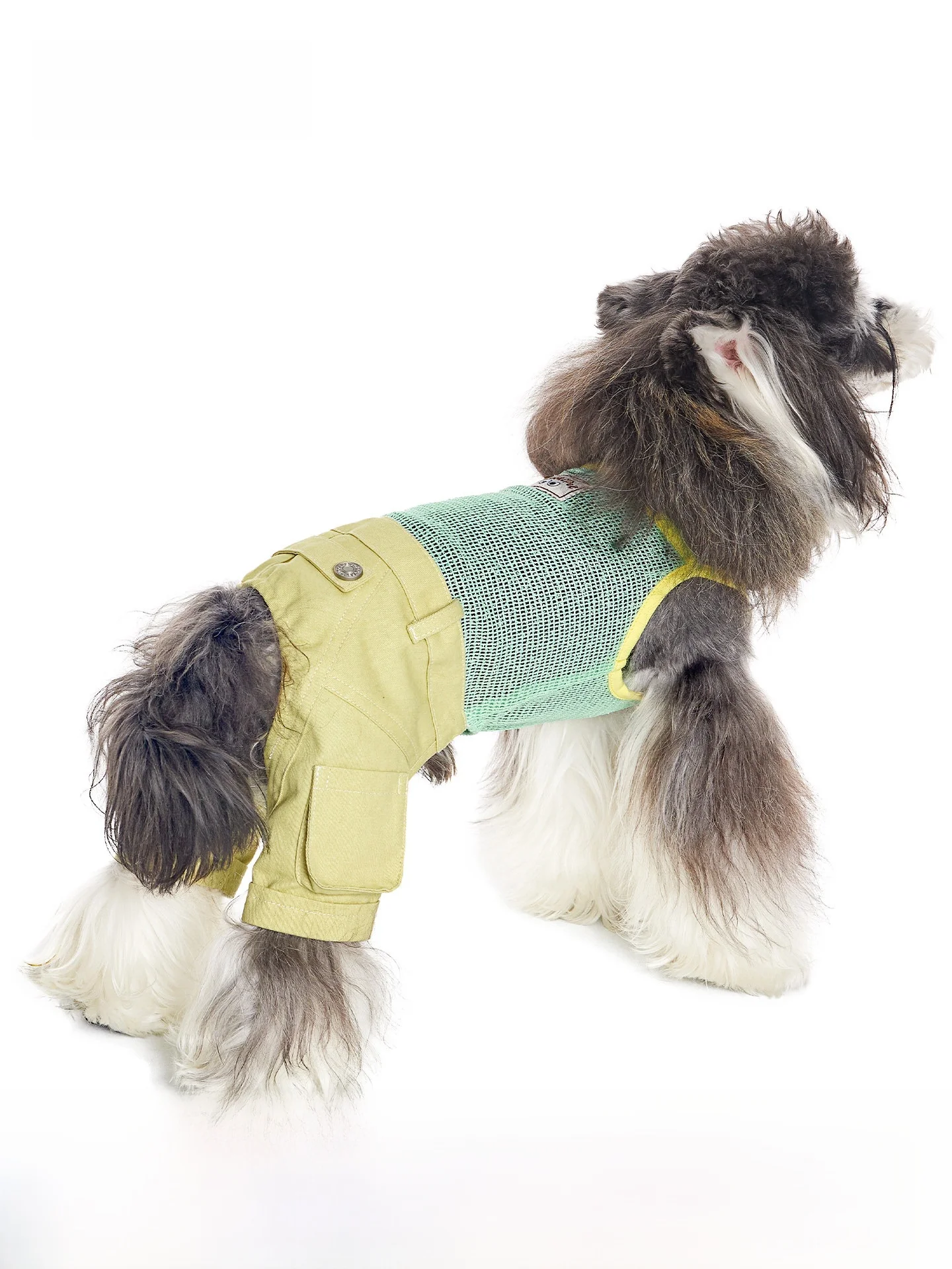 犬を飼う初心者が迷う「夏の服」はどう選ぶ？