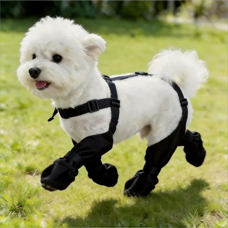 犬の散歩服装 おすすめ：雪狮の防水四脚パンツが夏の外出に最適