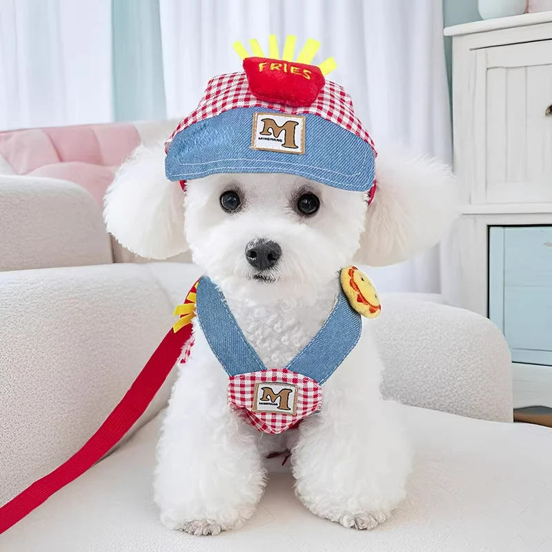 小型犬用ハーネス付きリード：首を締めない設計で引っ張り防止を実現