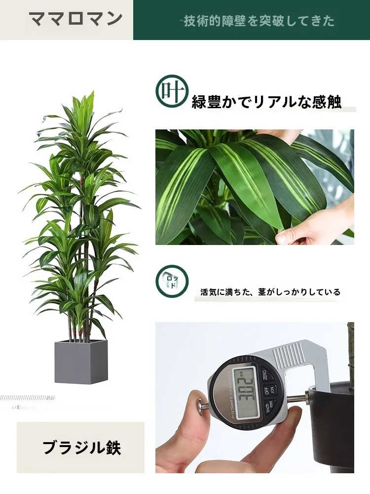 韓国カフェ風の部屋に欠かせない「フェイクグリーン」は、どう選ぶ？