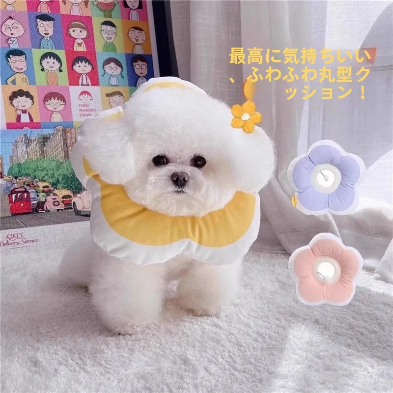 防水タイプ エリザベスカラー：小型犬用の舐め防止とマルチーズ対応が実証された実用性