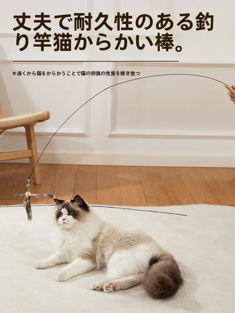 猫の遊び道具を選ぶときに迷うなら、この1つのアイテムが解決する？