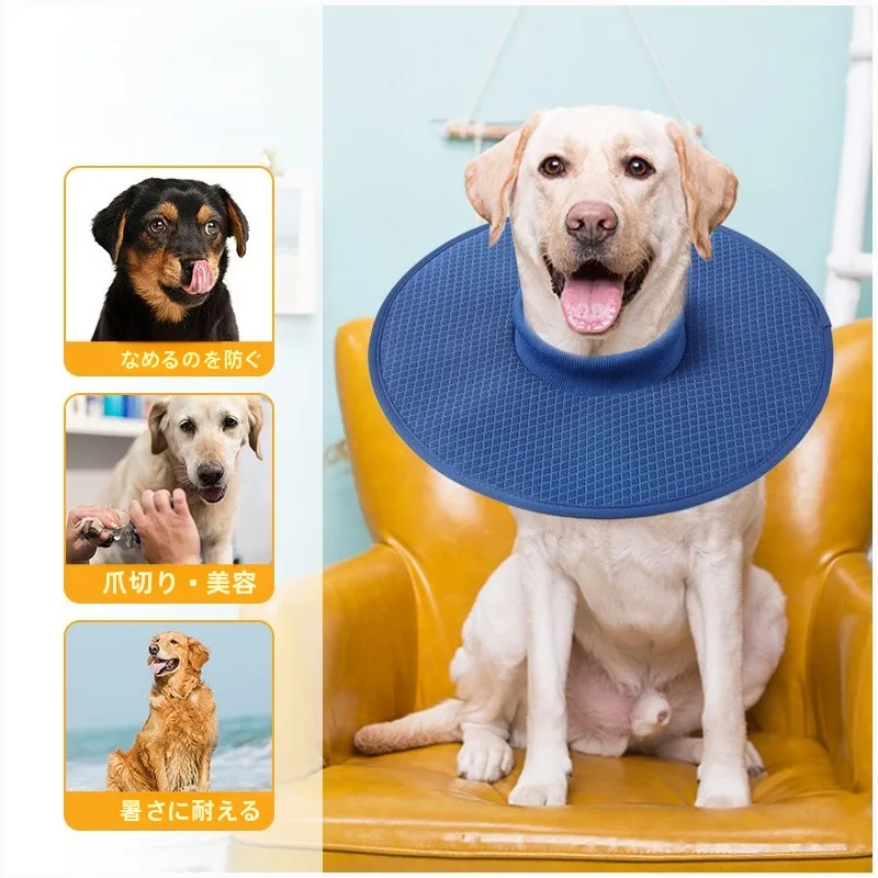 エリザベスカラーを選び直すべき理由は？柴犬やコーギーに最適な軽量ソフトタイプの選び方
