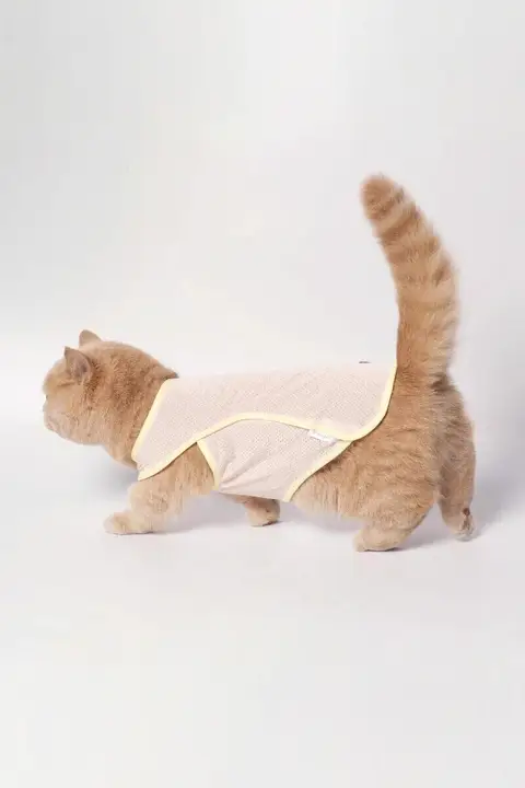 猫用夏用薄手背心【通気性抜群・毛が抜けにくい・サマースタイル】