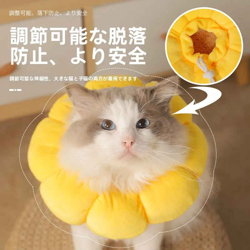 猫飼いが買ってよかったもの・悪かったもの正直に言う｜術後ケアで安心感を届けるひまわりエリザベスカラーの実測ガイド