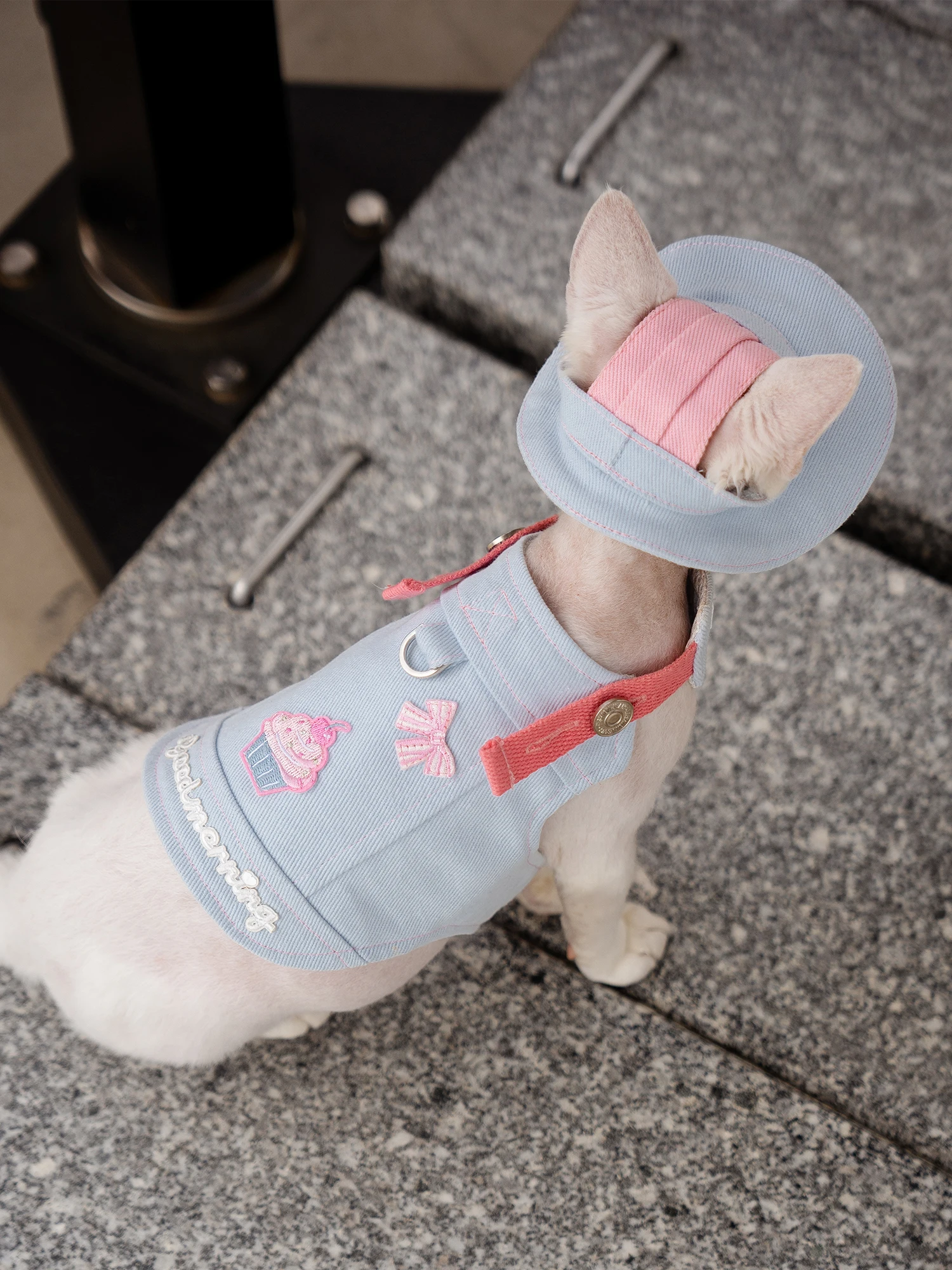 アイスクリーム柄 キャットハーネス：一人暮らしの猫に最適な無毛猫用装着アイテム