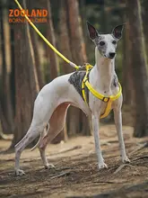 犬用ハーネス付きリード【中型犬・大型犬対応・散歩用】