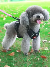 犬用反射材付きハーネスリード【通気性・夏用・胸部装着タイプ】