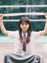 立ち襟短袖シャツ レディース【夏用・通勤・カジュアル・学生用】