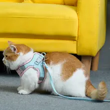 猫用ハーネス【背面式・お散歩用・脱走防止】