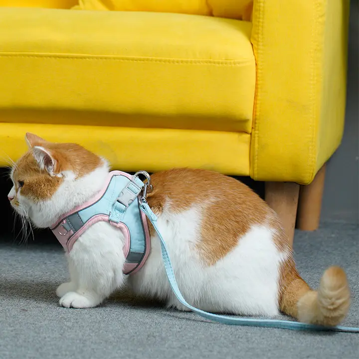 猫用ハーネス【背面式・お散歩用・脱走防止】