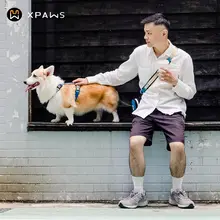 犬用ハーネスリード【H型デザイン・コーギー用・中小型犬対応】