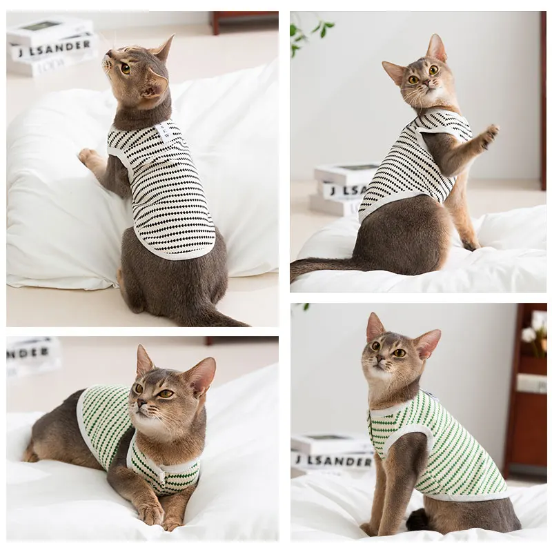 猫飼いが買ってよかったもの・悪かったもの正直に言う｜春夏服の実測ガイド