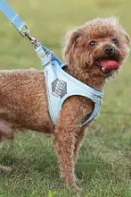 BORORO 犬用ハーネス付きリード【小型犬用・お散歩用・調節可能】
