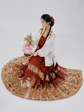 華やかなデザインの馬面スカート【明朝風・紅色・半身スカート】（セットアップ対応）