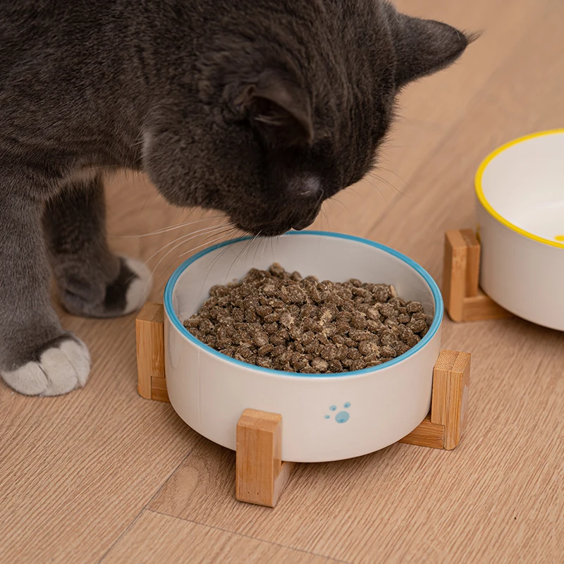 猫飼いが買ってよかったもの・悪かったもの正直に言う：猫用陶器食器cuello保護・防打翻の設計原理