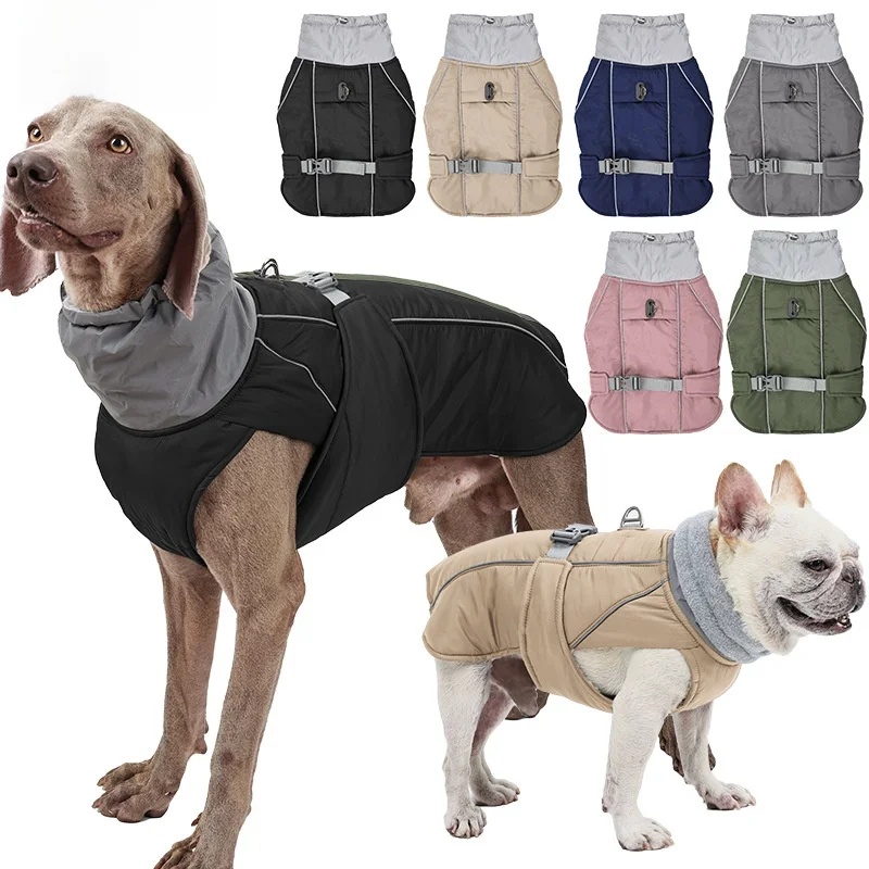 犬のお散歩グッズをコスパ良く揃える方法｜機能性とデザインのバランスを徹底解説