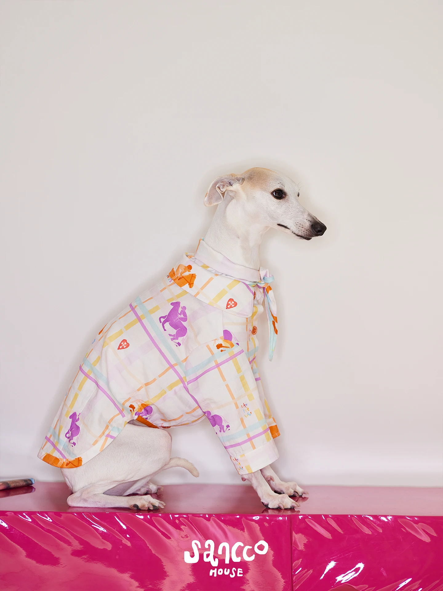 チワワ用犬服：オリジナルプリント小犬用パジャマの実用性とサイズ適合性