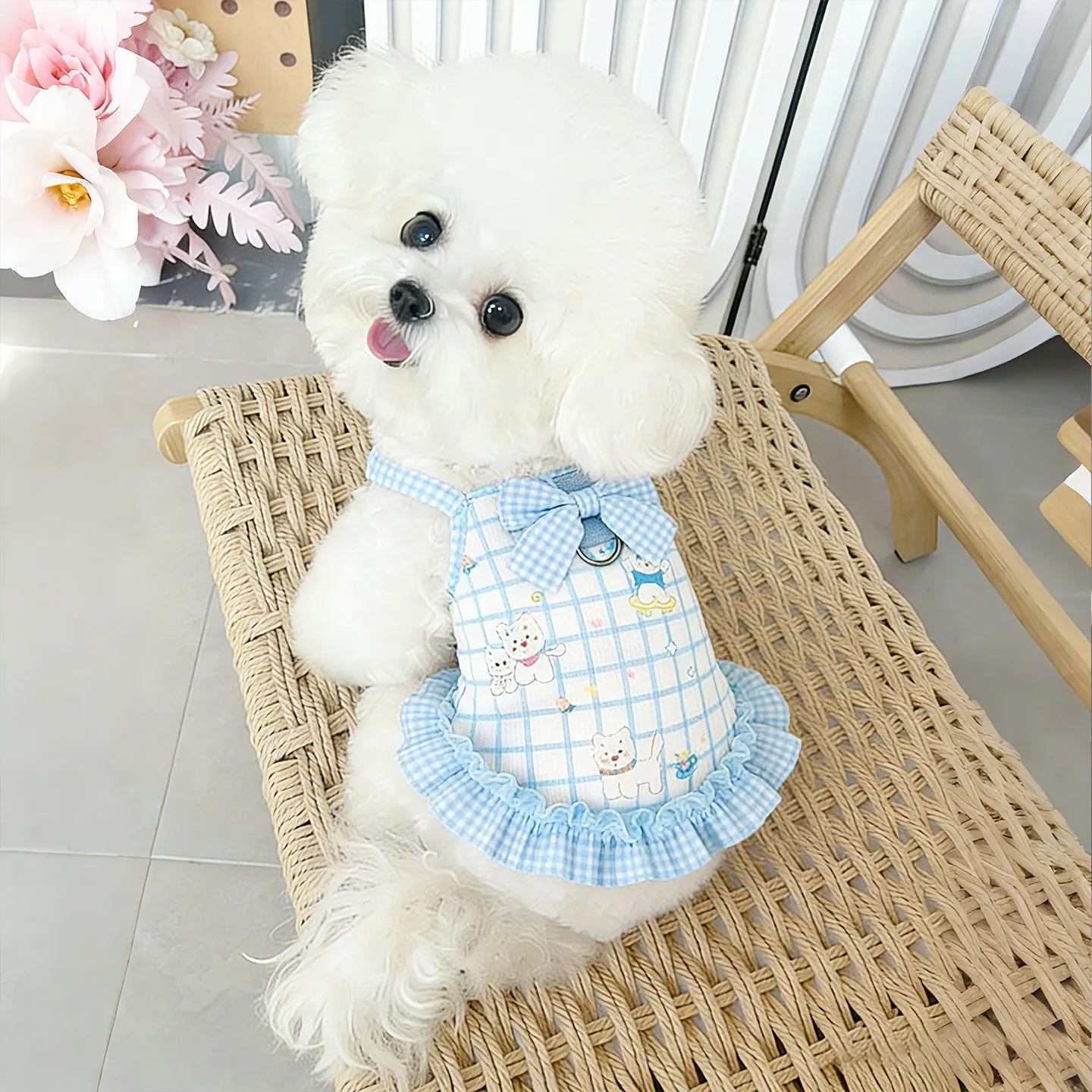 小型犬用夏用薄手ドッグドレス【涼感・快適・通気性】の実用性と選び方