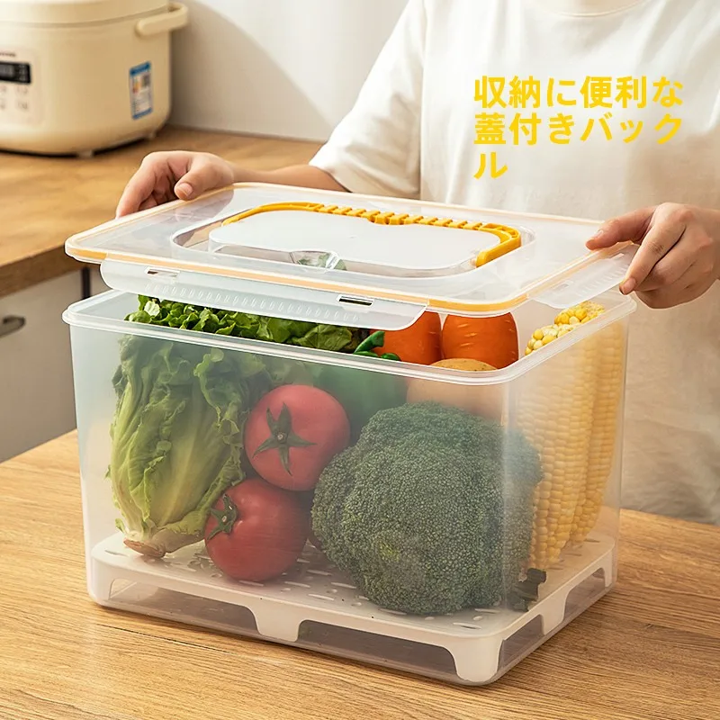 持ち運びに便利な大容量ランチボックス：アウトドア・ピクニック向けの密閉設計モデル